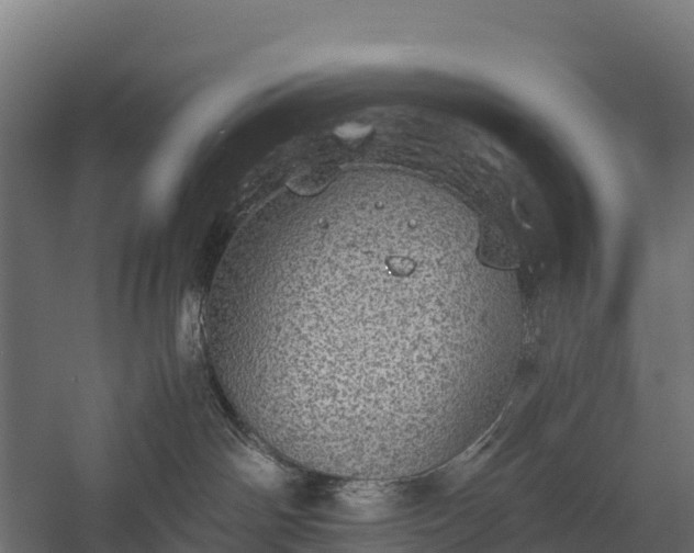 X0000058780142200510071619