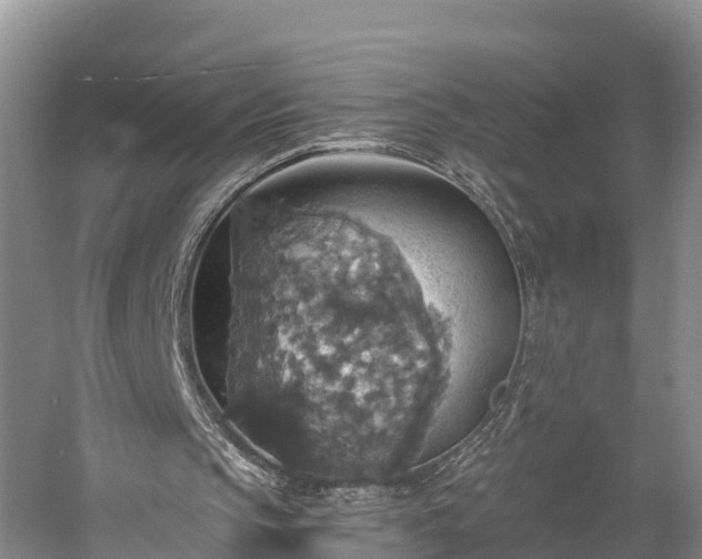 X0000058780145200510071618