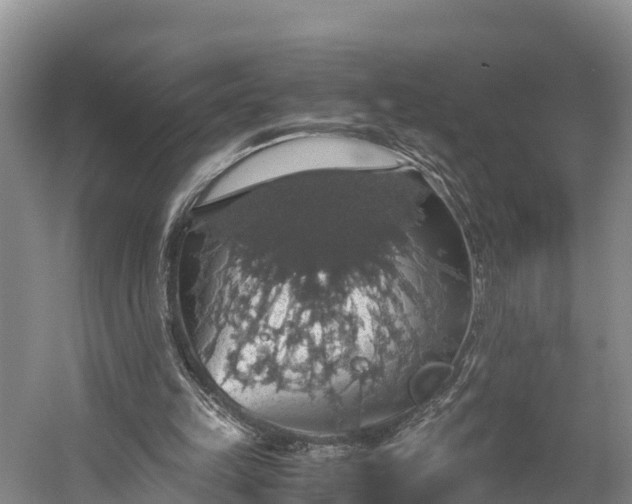 X0000058780149200510071618