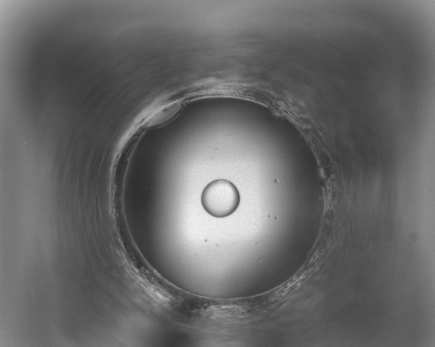 X0000058780150200510071618