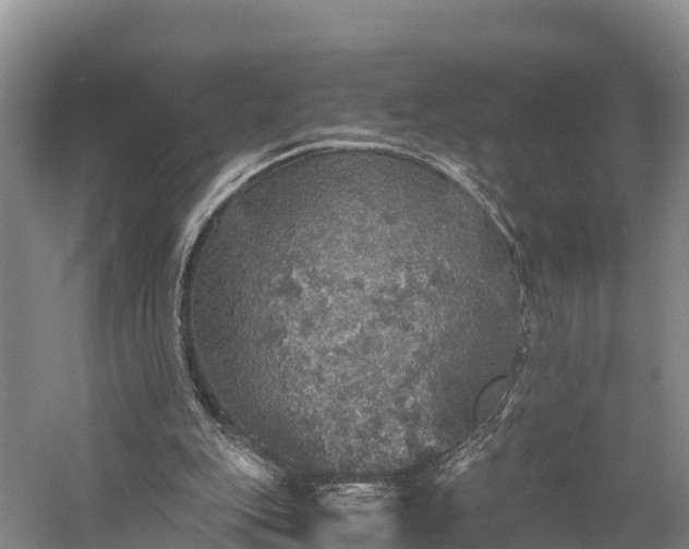 X0000058780151200510071618