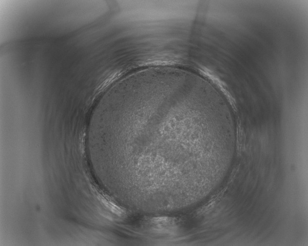 X0000058780153200510071618