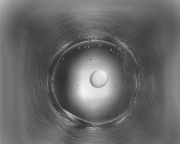 X0000058780154200510071618