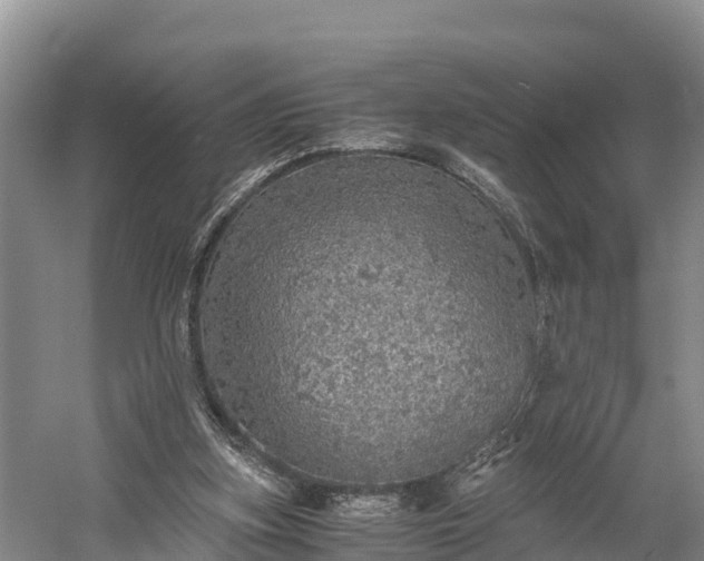 X0000058780155200510071618