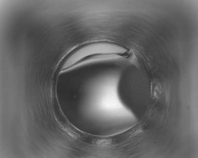 X0000058780156200510071618