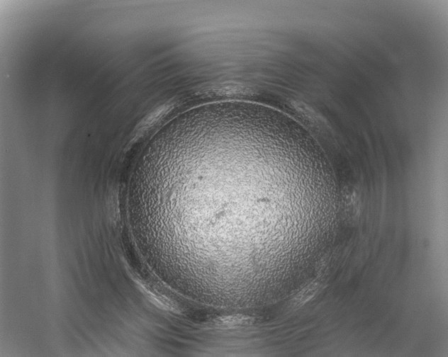 X0000058780158200510071618