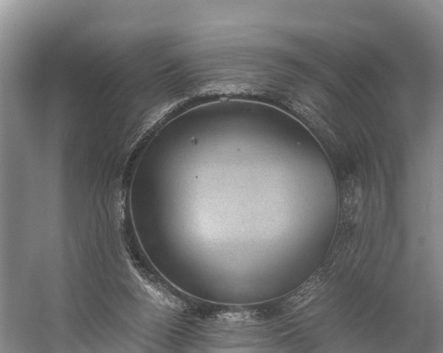 X0000058780160200510071618