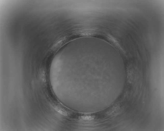 X0000058780161200510071618