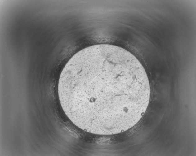 X0000058780162200510071618