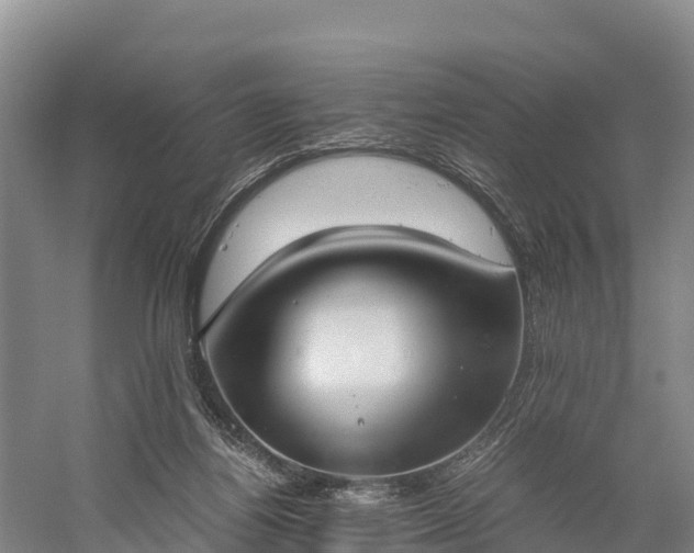 X0000058780164200510071618