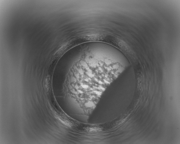 X0000058780165200510071618