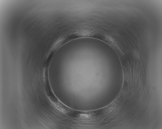 X0000058780167200510071618