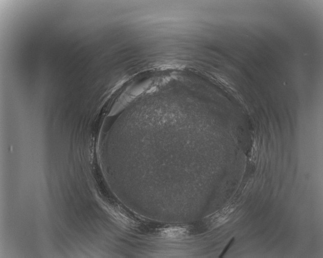 X0000058780168200510071618