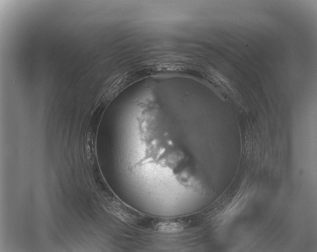 X0000058780169200510071618