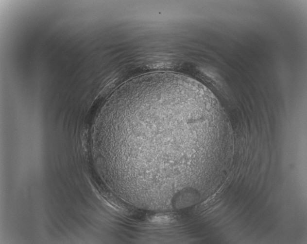 X0000058780171200510071618