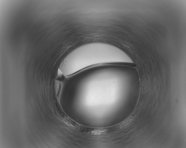 X0000058780172200510071618