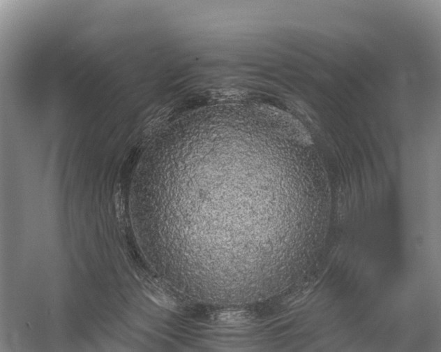 X0000058780173200510071618