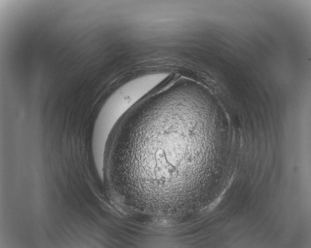 X0000058780174200510071618