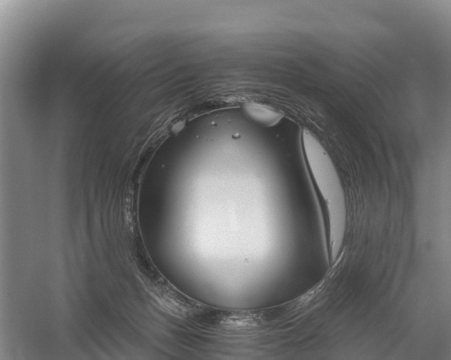 X0000058780175200510071618