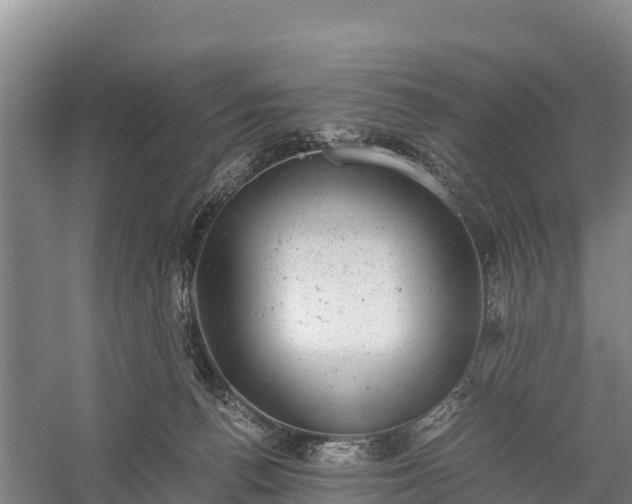 X0000058780176200510071618