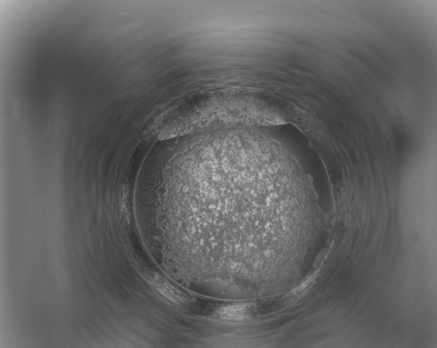 X0000058780178200510071618