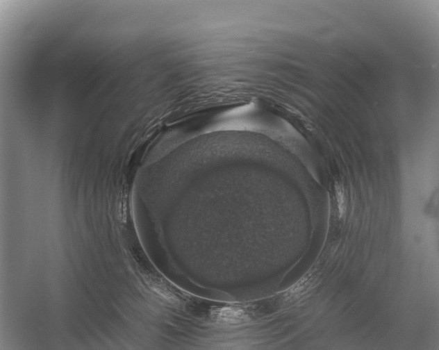 X0000058780180200510071619