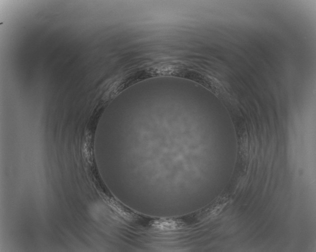 X0000058780181200510071619