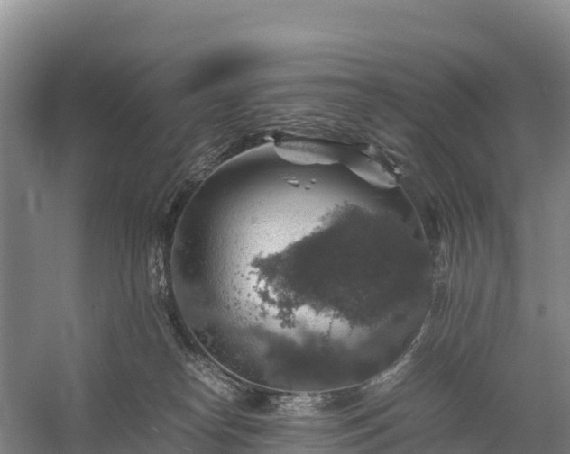 X0000058780182200510071619