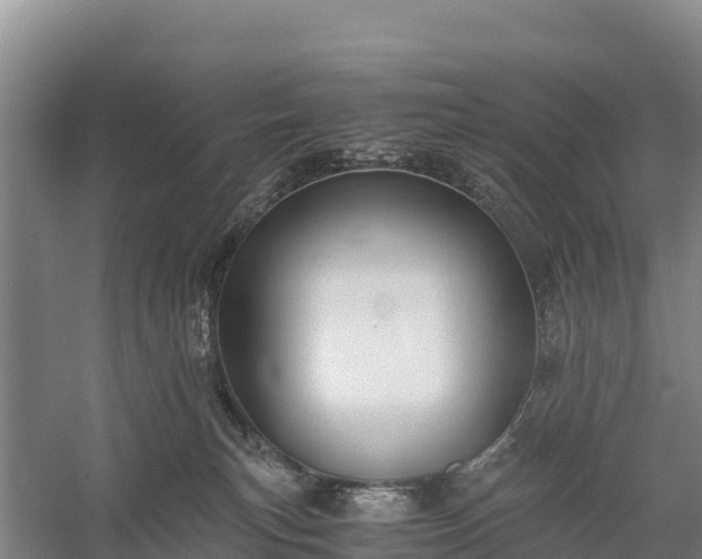 X0000058780183200510071619