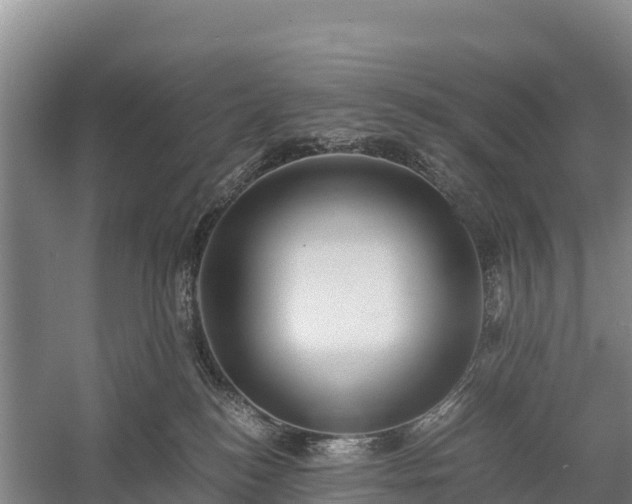 X0000058780184200510071619