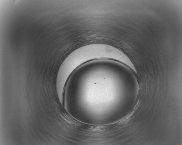 X0000058780186200510071619