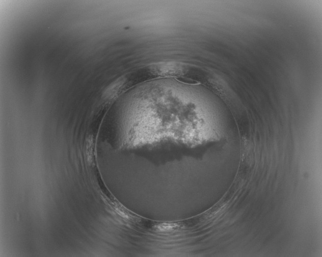 X0000058780189200510071619