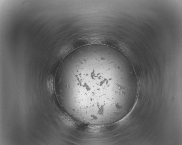 X0000058780190200510071619