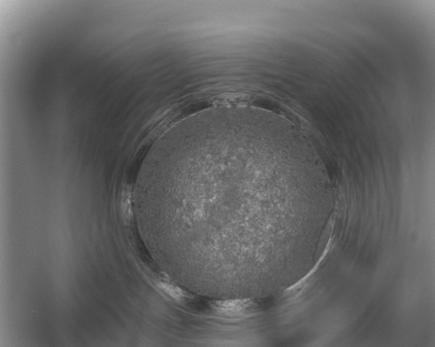 X0000058780191200510071619