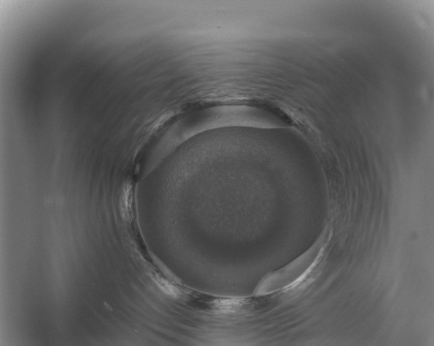 X0000058780192200510071619