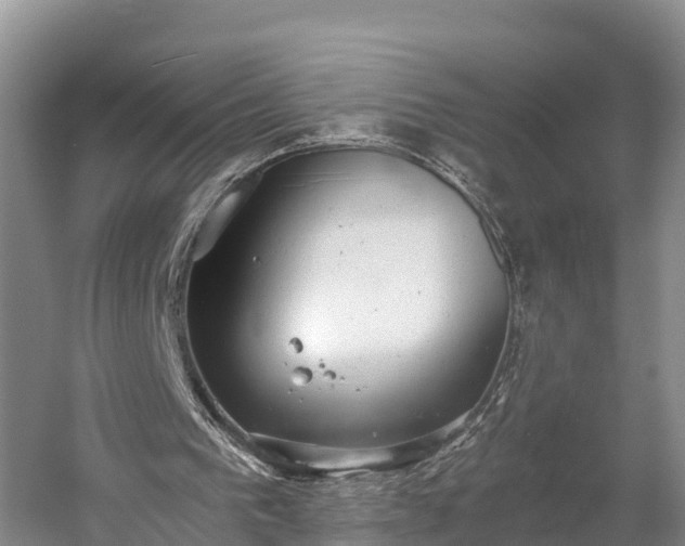 X0000058780193200510071618