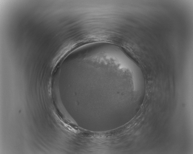 X0000058780194200510071618