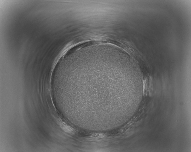 X0000058780195200510071618