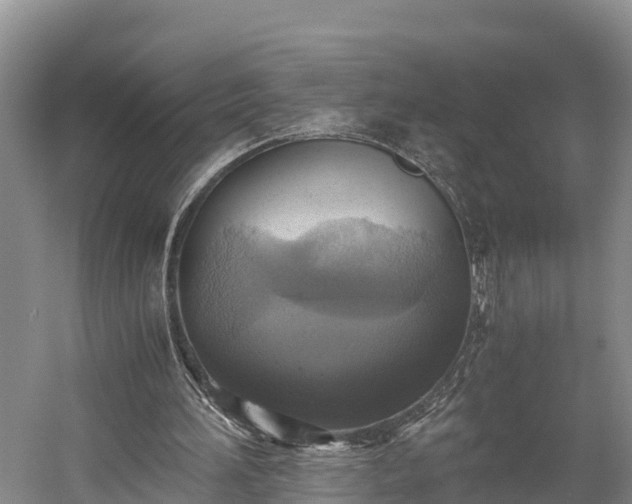 X0000058780196200510071618