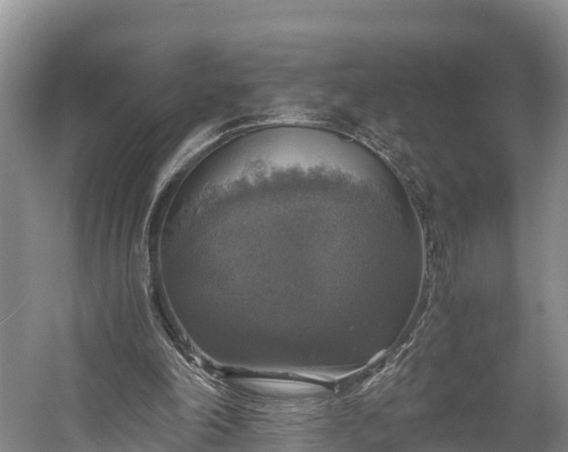 X0000058780198200510071618