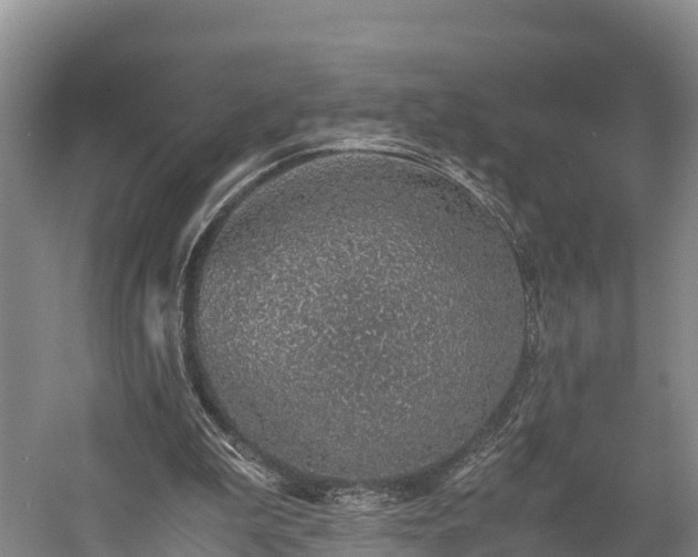 X0000058780199200510071618