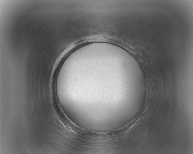 X0000058780200200510071618