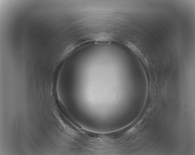 X0000058780201200510071618