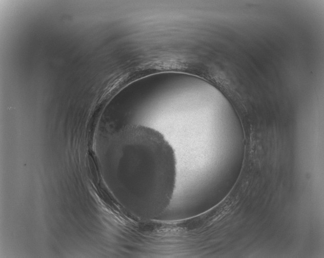 X0000058780202200510071618