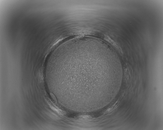 X0000058780203200510071618