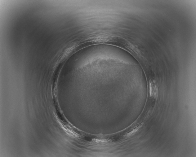 X0000058780205200510071618