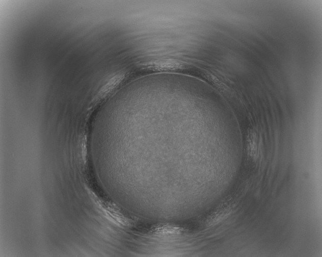 X0000058780206200510071618