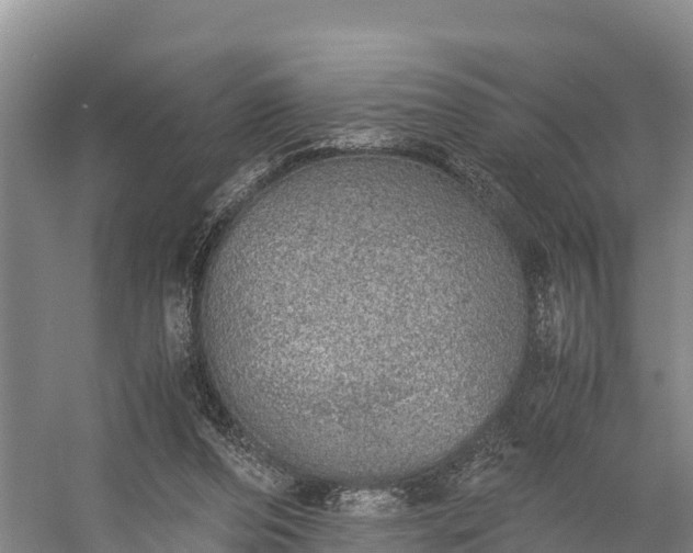 X0000058780208200510071618