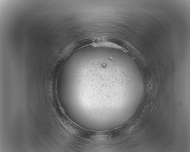 X0000058780209200510071618