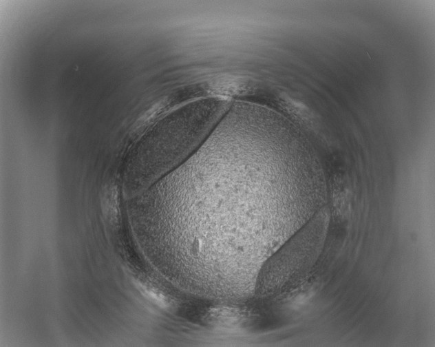 X0000058780211200510071618